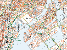 定番人気！ 岐阜県 二万五千分の一地形図 119枚 国土地理院 社会学